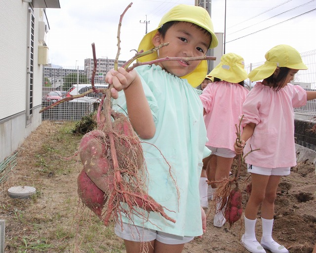 IMG_9860 - コピー