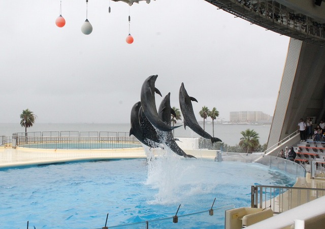 IMG_9307 - コピー