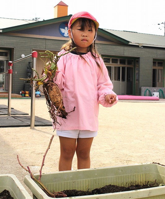 IMG_0015 - コピー