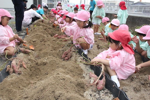 IMG_9954 - コピー