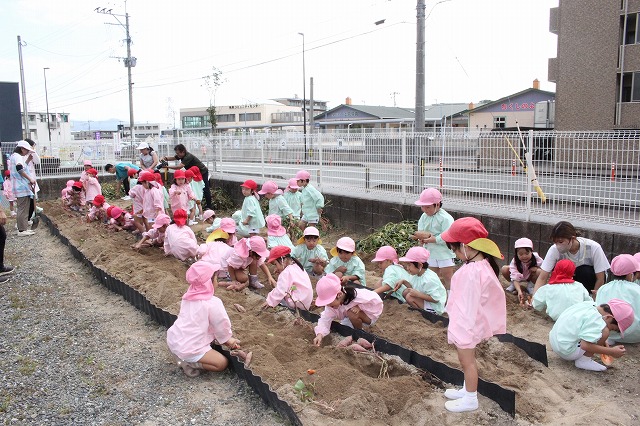 IMG_9983 - コピー