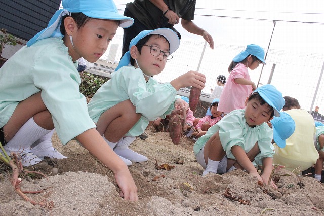 IMG_9866 - コピー