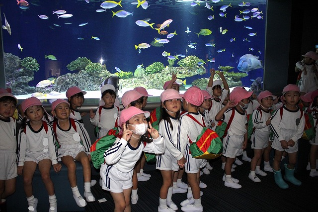 IMG_9482 - コピー