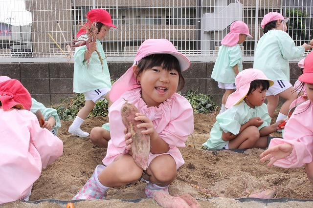 IMG_9981 - コピー