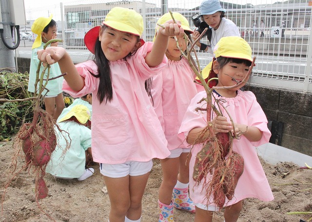 IMG_9864 - コピー