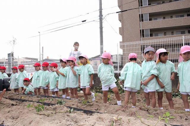 IMG_9893 - コピー