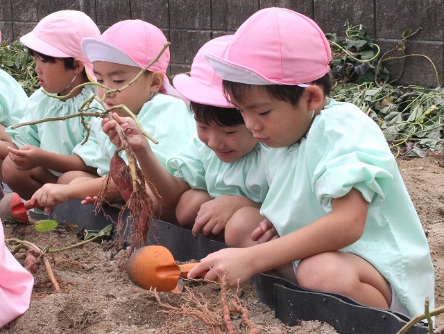 IMG_9931 - コピー