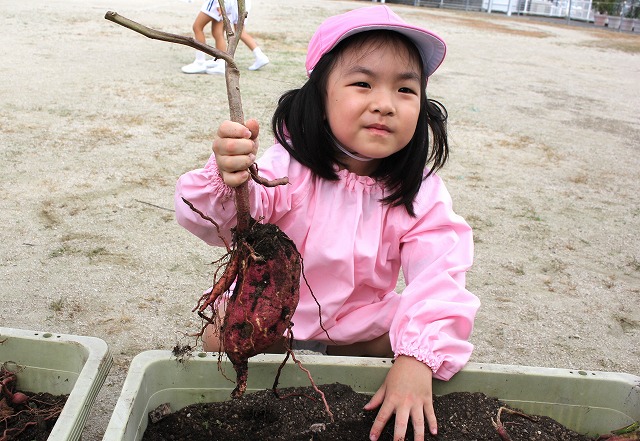 IMG_0011 - コピー