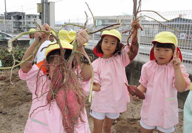 IMG_9861 - コピー